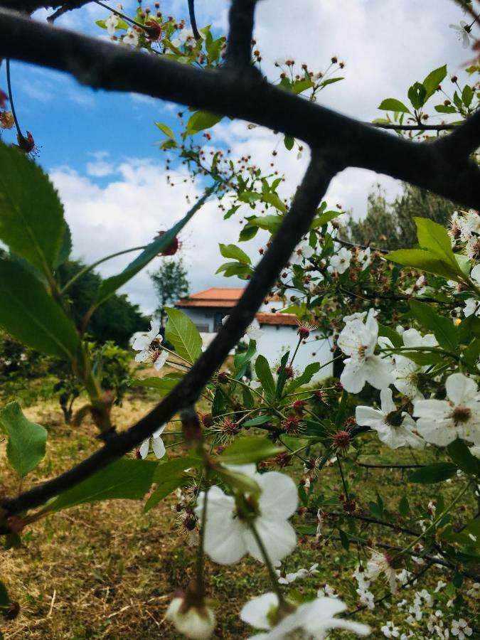 Appartamento A Casa Dos Avos Alfeizerão Esterno foto